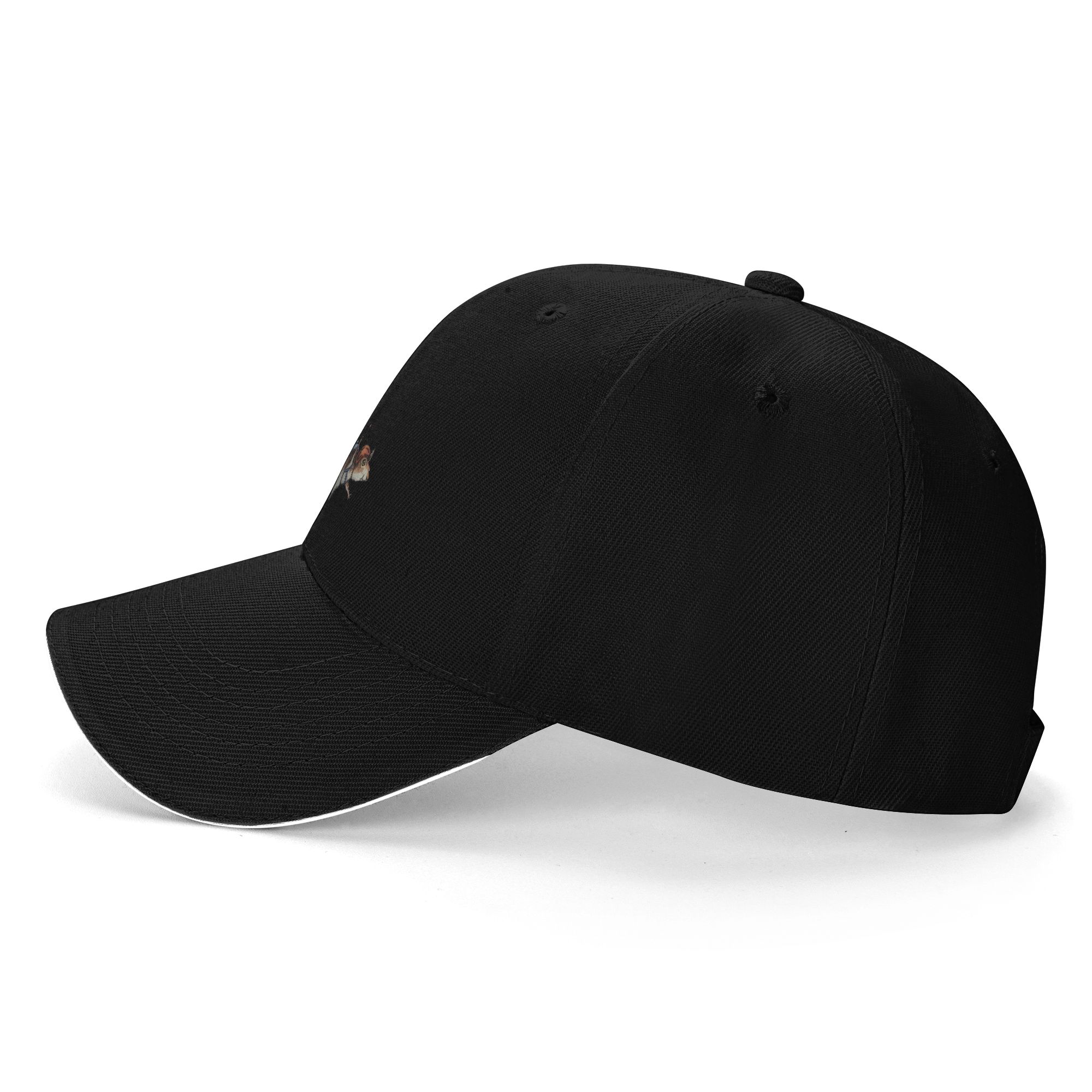 Hot Sale Skydiver Squirrel Sky - Cap Streetwear Brand 评论和价格